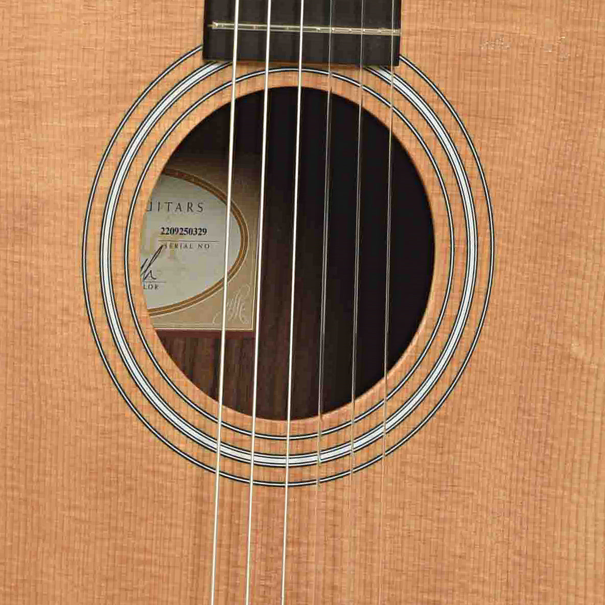 Soundhole of Taylor 214ce-N Plus