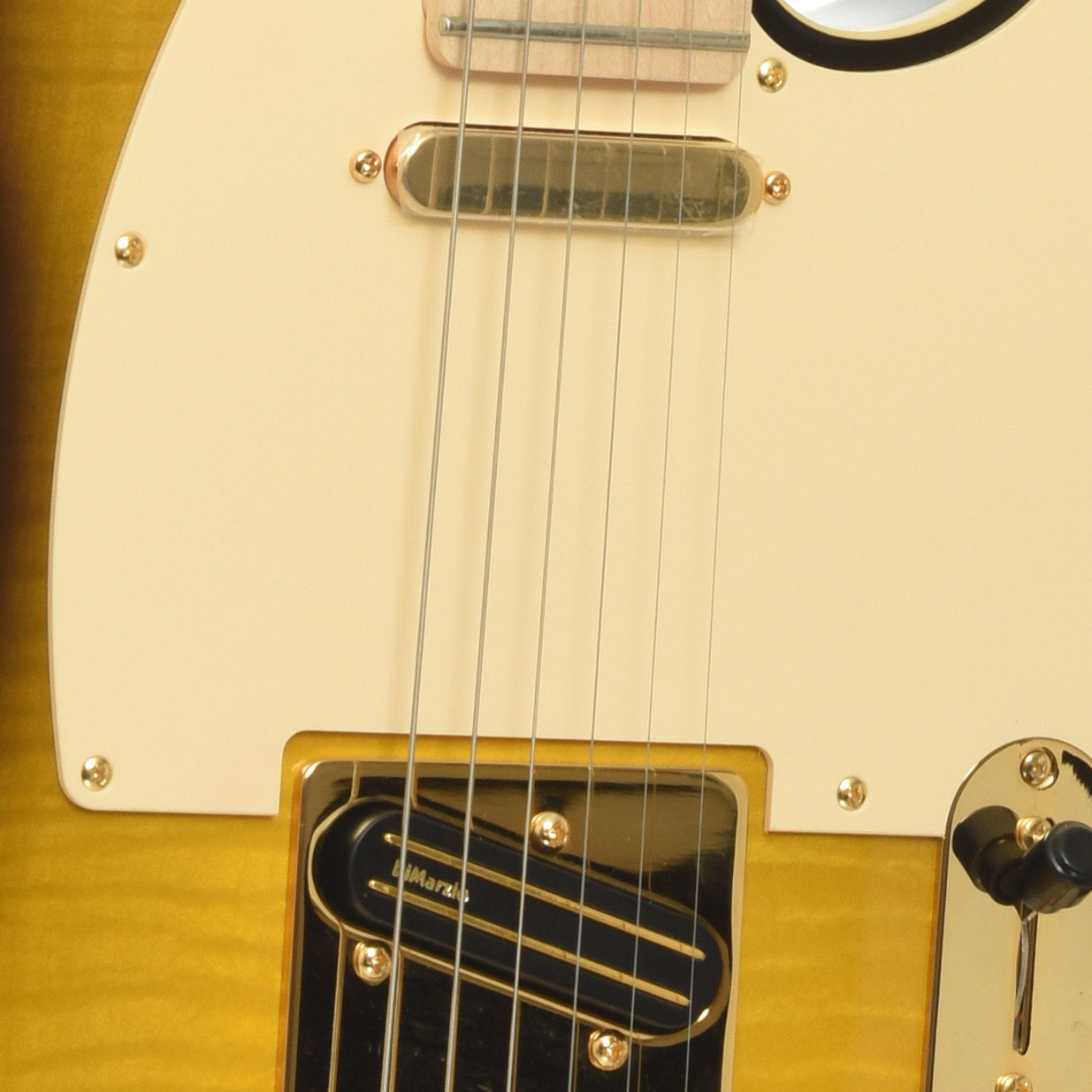 Pickups of Fender Richie Kotzen Signature Telecaster Electric Guitar
