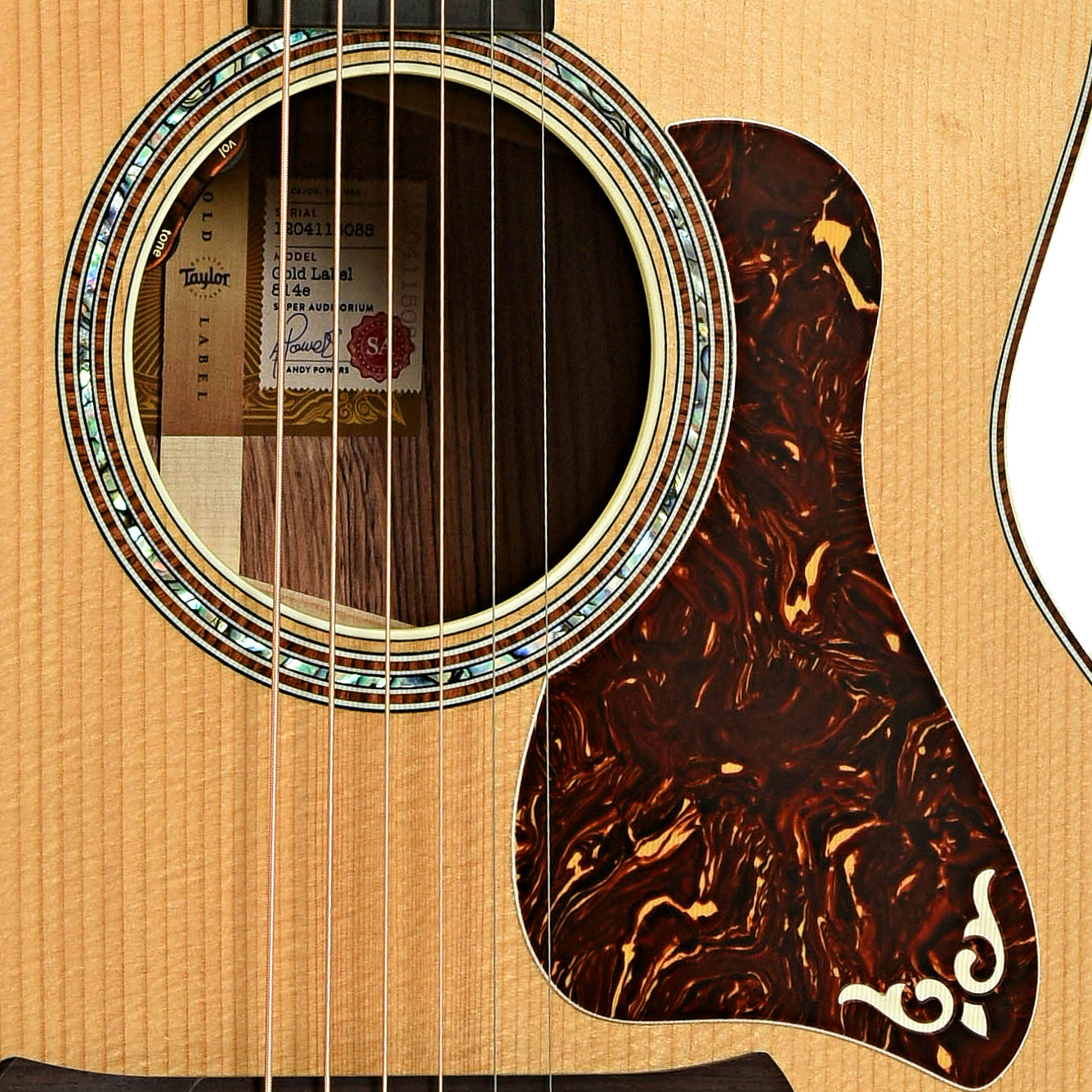 Soundhole of Taylor Gold Label 814e Acoustic Guitar