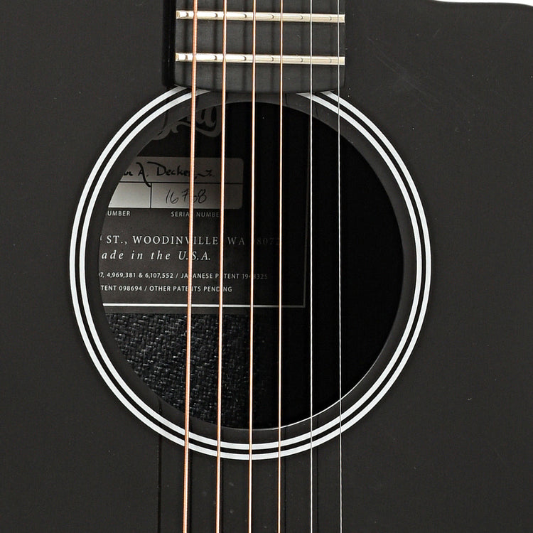 Sound hole of Rainsong P12 Parlor