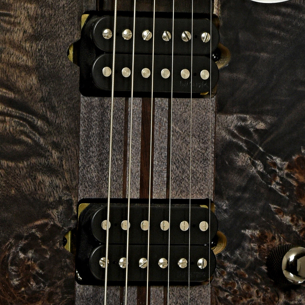 Pickups of Ibanez RGT1221PB Electric Guitar  