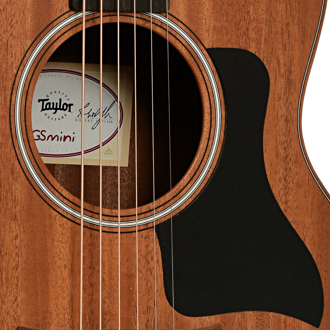 Soundhole of Taylor GS Mini-EM Acoustic Guitar 