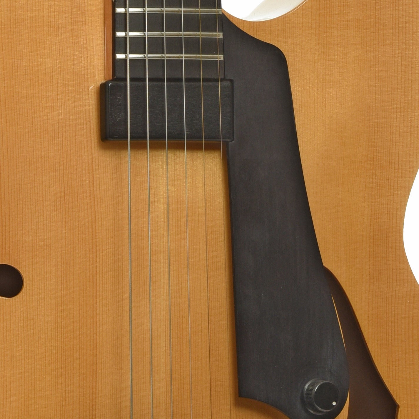 Pickups of Martin CF-1 American Archtop Electric Guitar 