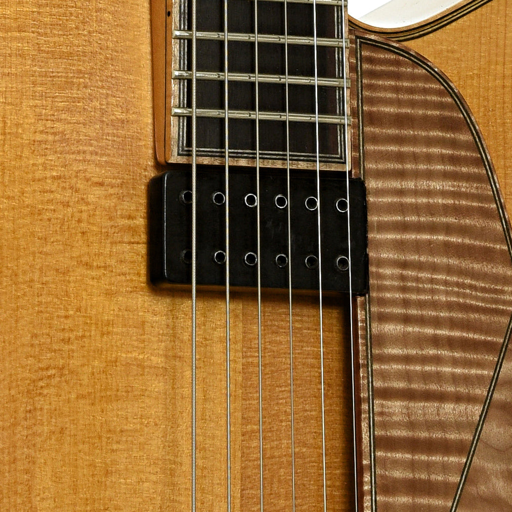 Pickups of Gagnon Composer 17 in. Archtop Hollowbody Electric Guitar 