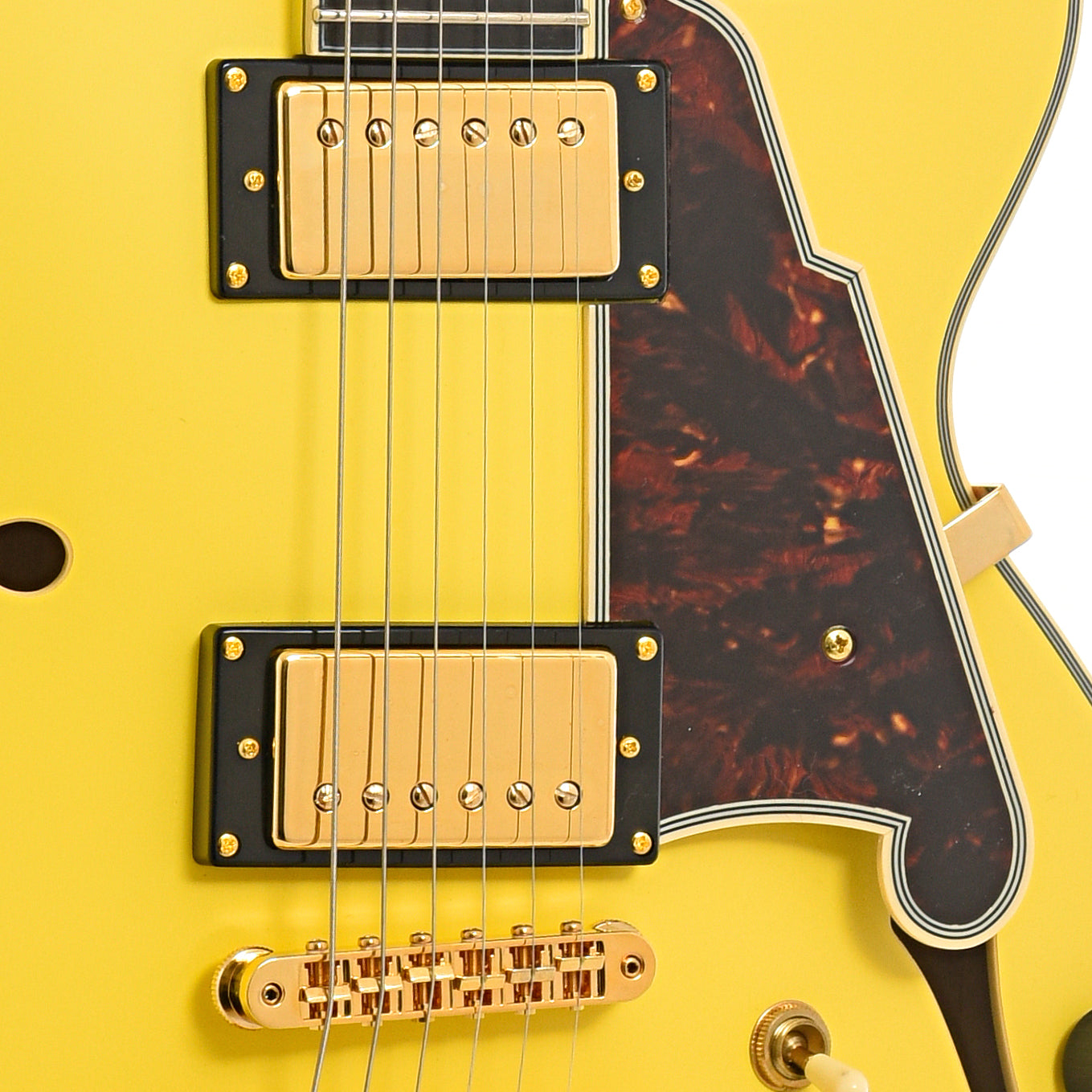 Pickups of D'Angelico DLX-SSSP Hollow Body 