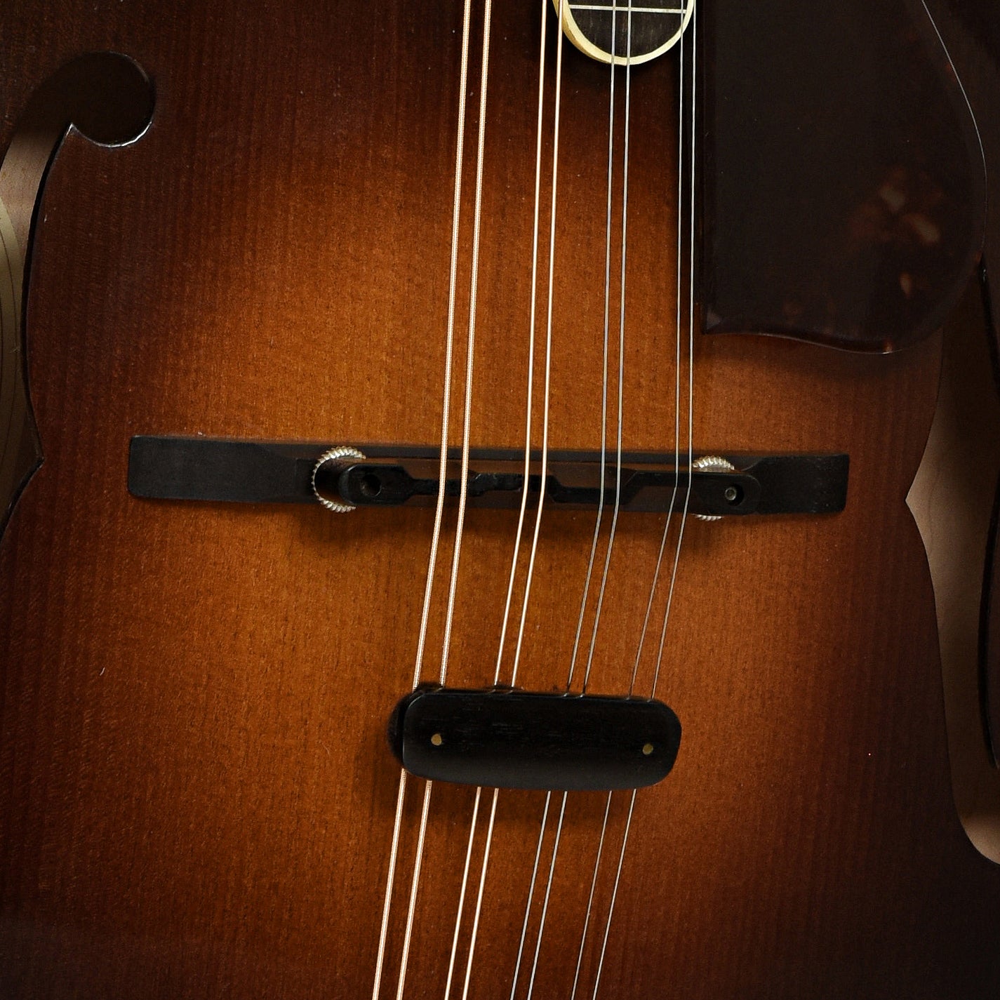 Bridge of Dudenbostel F-5 Mandolin 