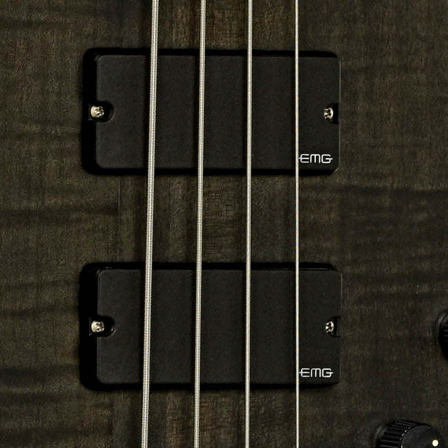 Pickups of Spector U.S.A. Forte 4X Electric Bass