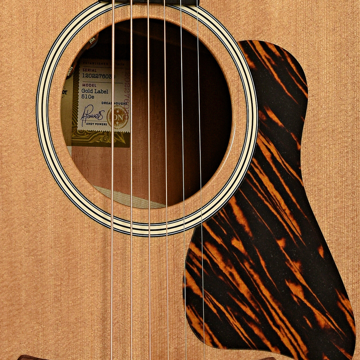 Soundhole of Taylor Gold Label 510e Acoustic-Electric Guitar