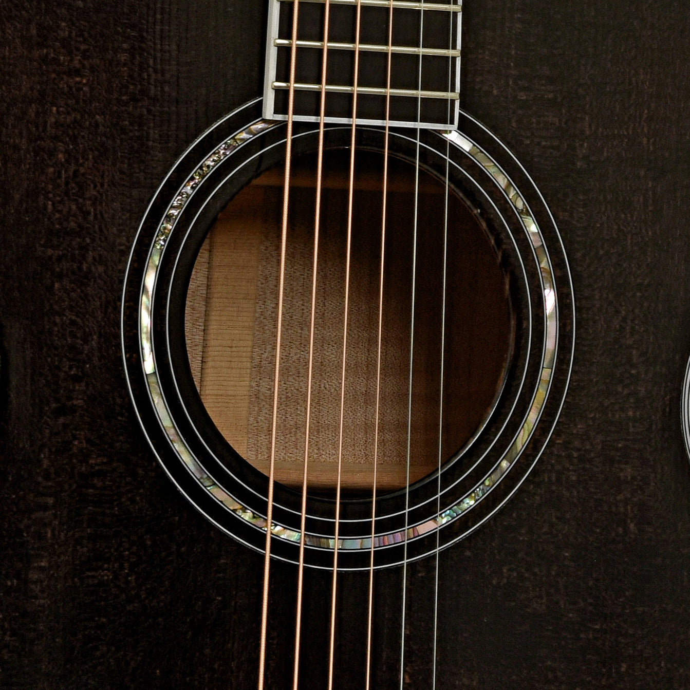 Soundhole of Taylor 612 Translucent Black Acoustic Guitar