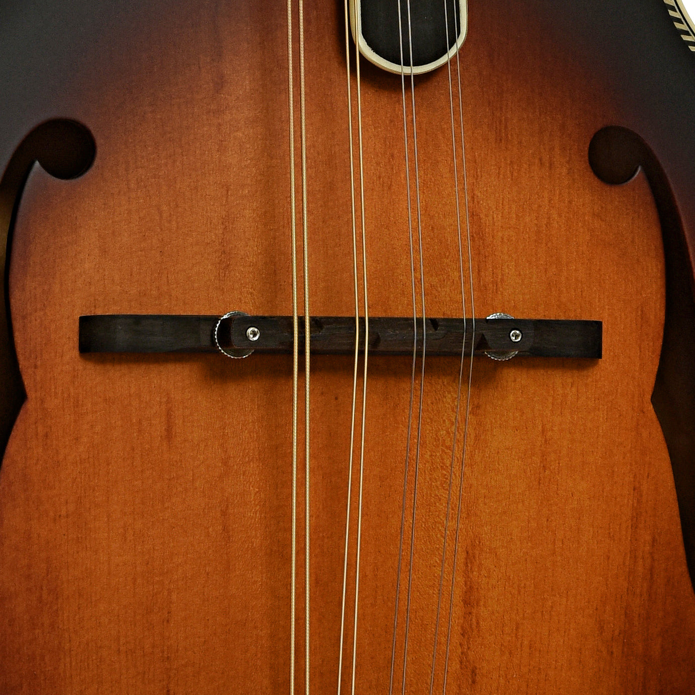 Bridge of Washburn M3SE F-Style Acoustic-Electric Mandolin