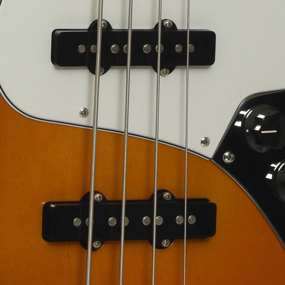 Pickups of Fender Standard Jazz Electric Bass