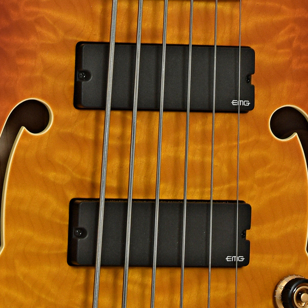 Pickups of Ibanez TCB1006 Stephen "Thundercat" Bruner 6-String Hollowbody Electric Bass (2022)
