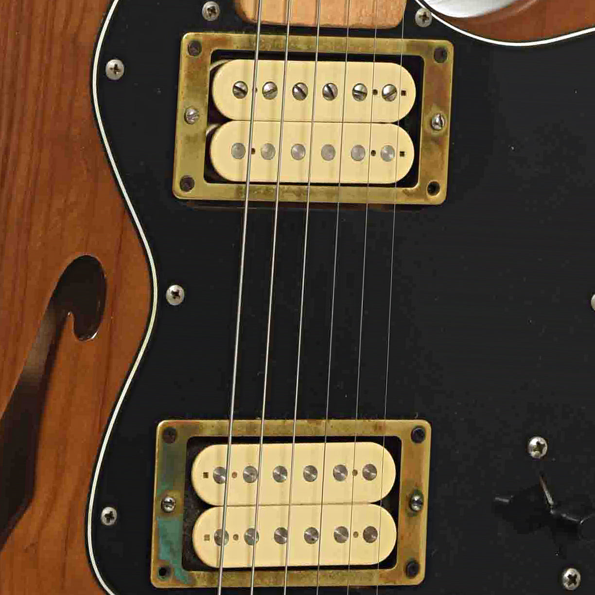 Fender Telecaster Thinline Electric Guitar (1974)