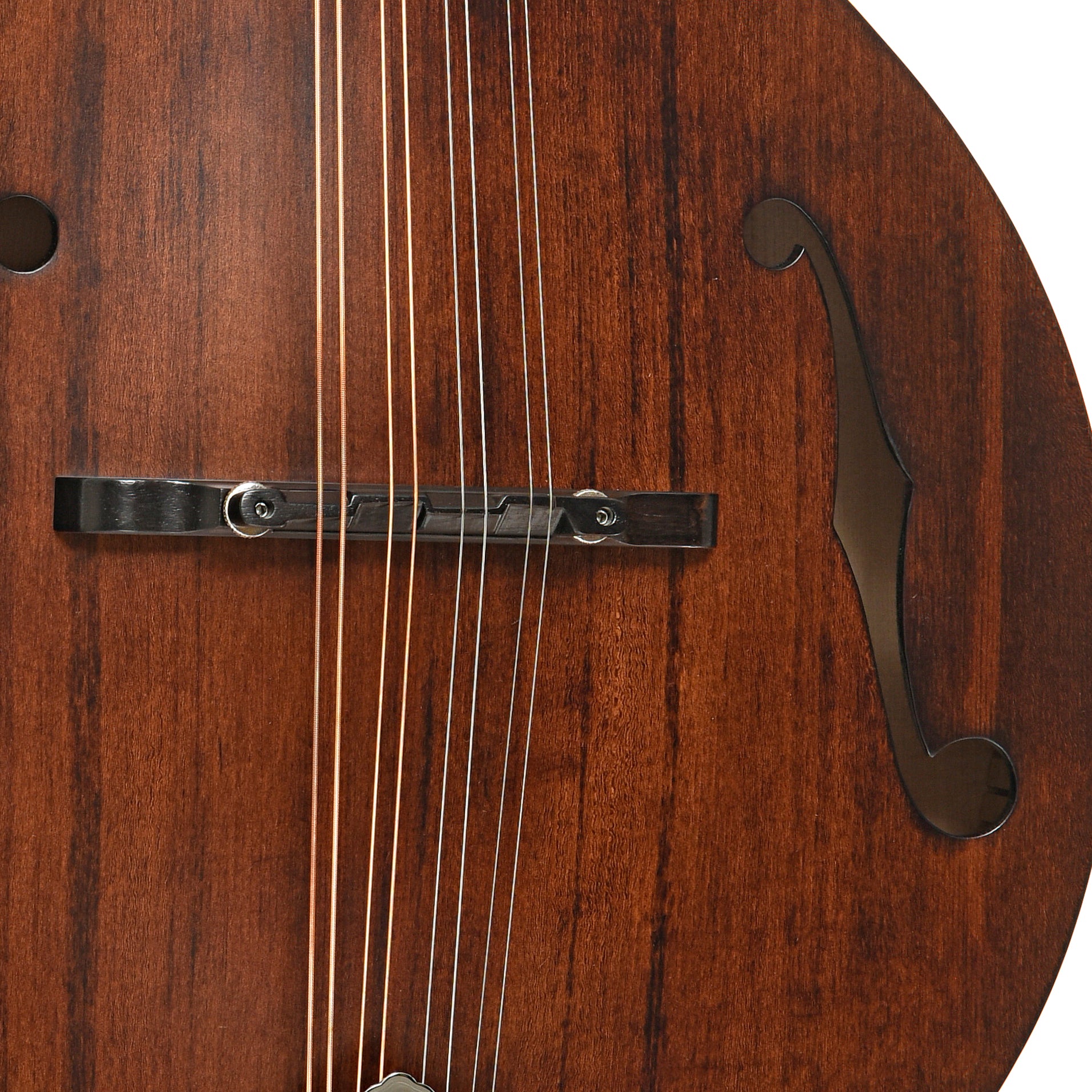 Kentucky KM-206 A-Model Mandolin – Elderly Instruments