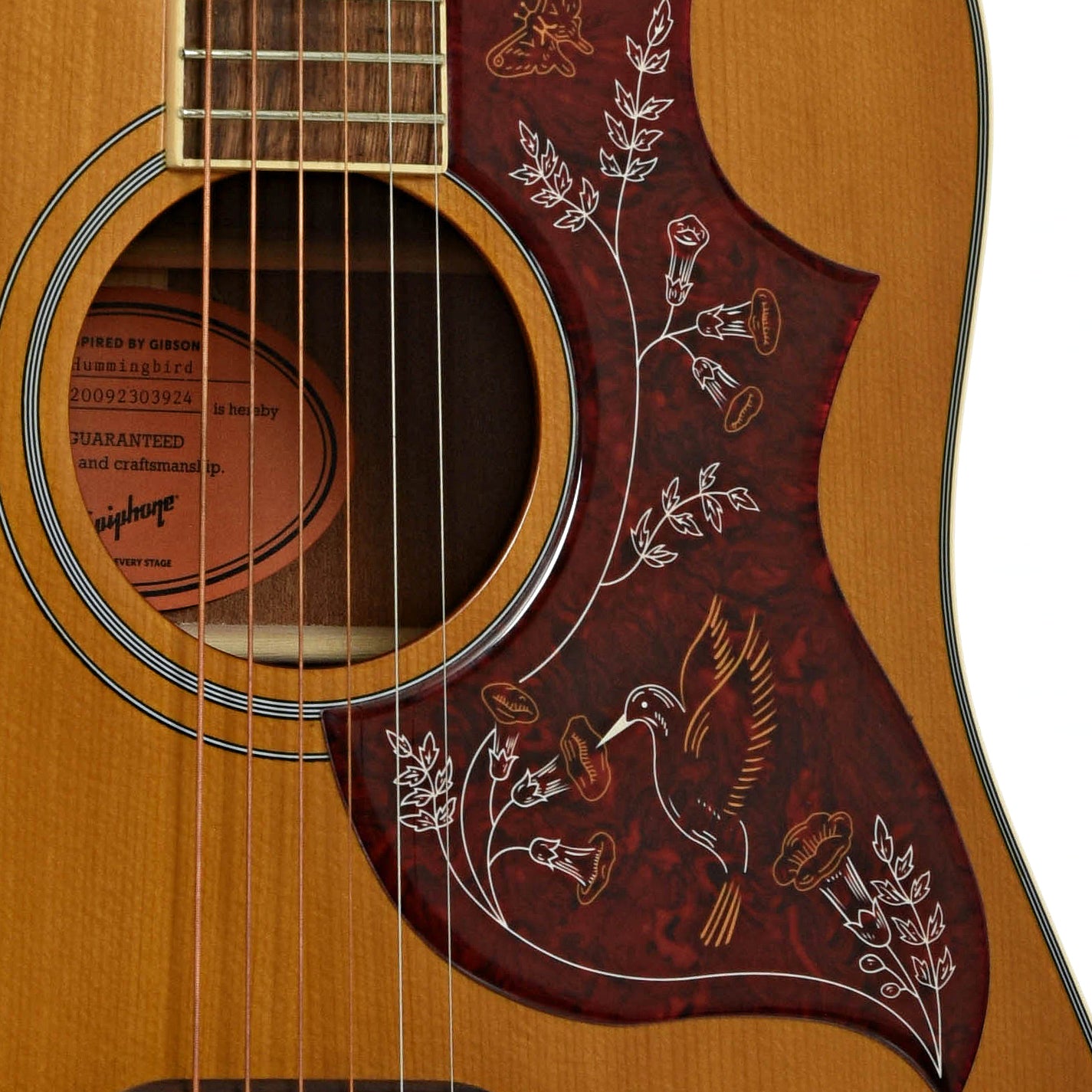 Soundhole of Epiphone Hummingbird Acoustic Guitar