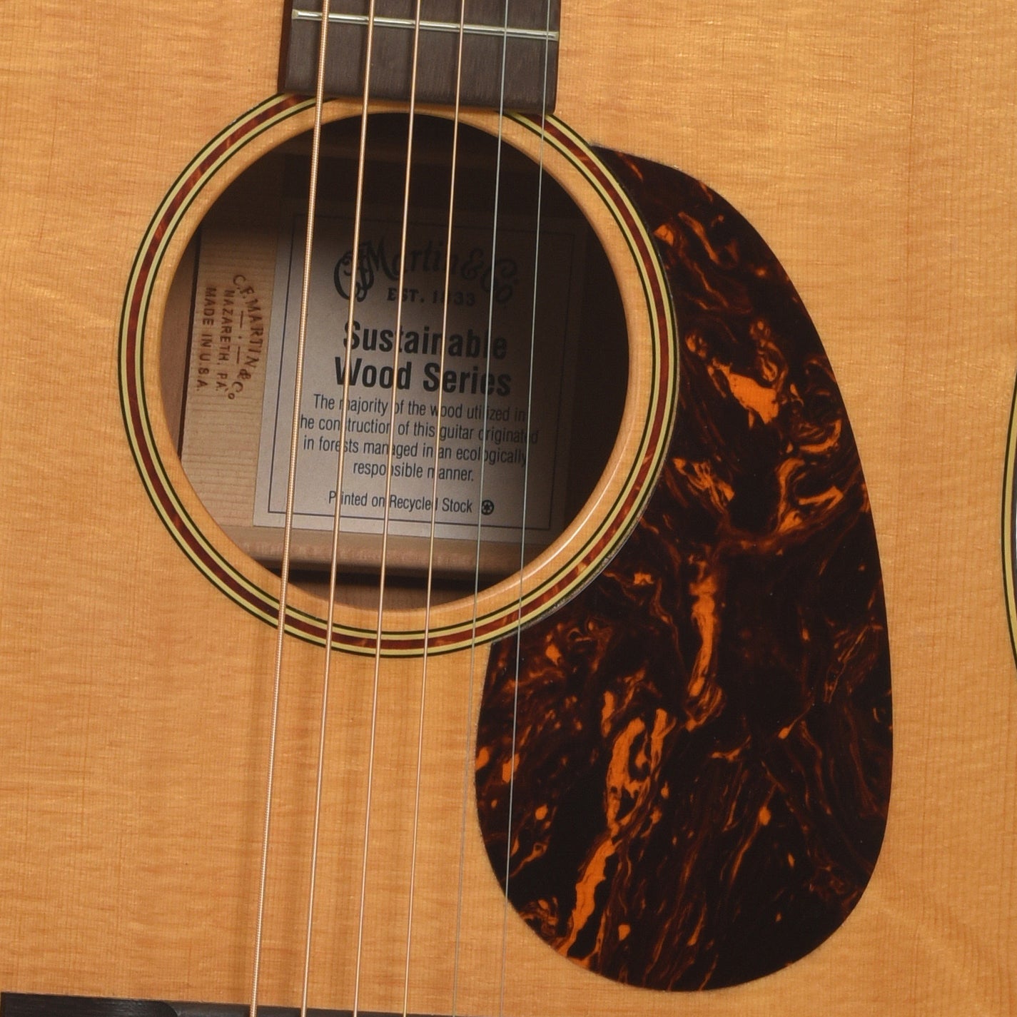 Soundhole of Martin SWDGT Acoustic Guitar