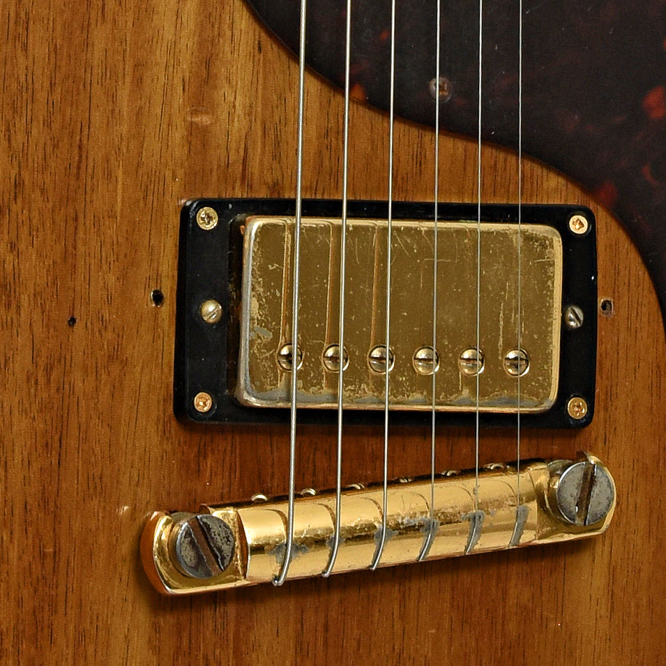 pickups of Gibson Les Paul Jr Electric Guitar