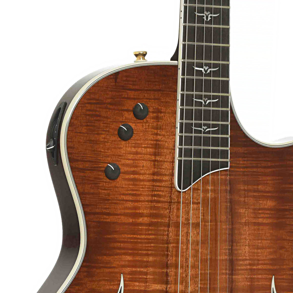 Controls of Taylor T5C2 Koa Custom