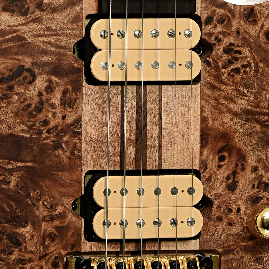 Pickups of Ibanez RGT1220PB Electric Guitar 