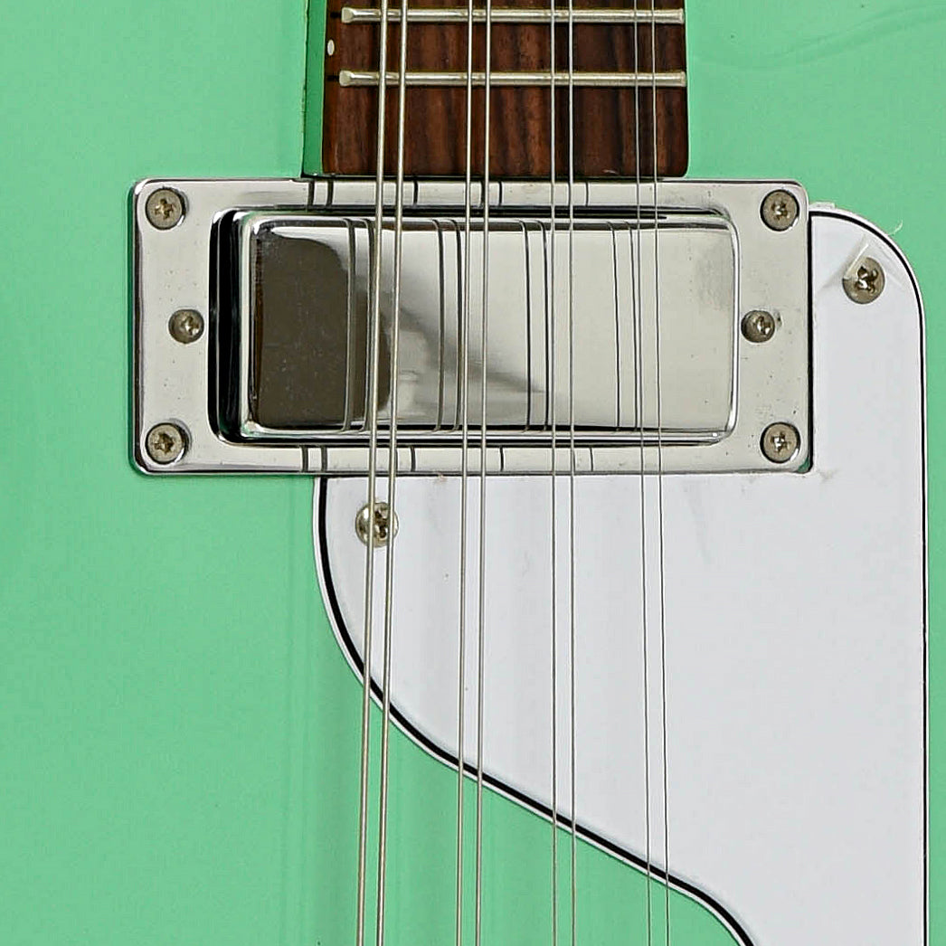 Pickup of Airline Map Electric Mandola