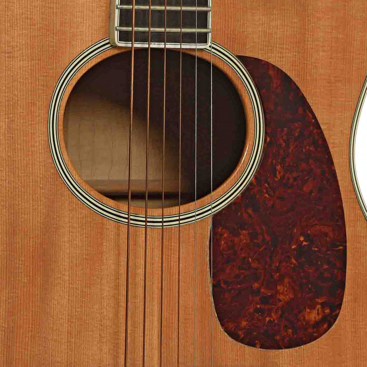 Soundhole of Martin MC-68