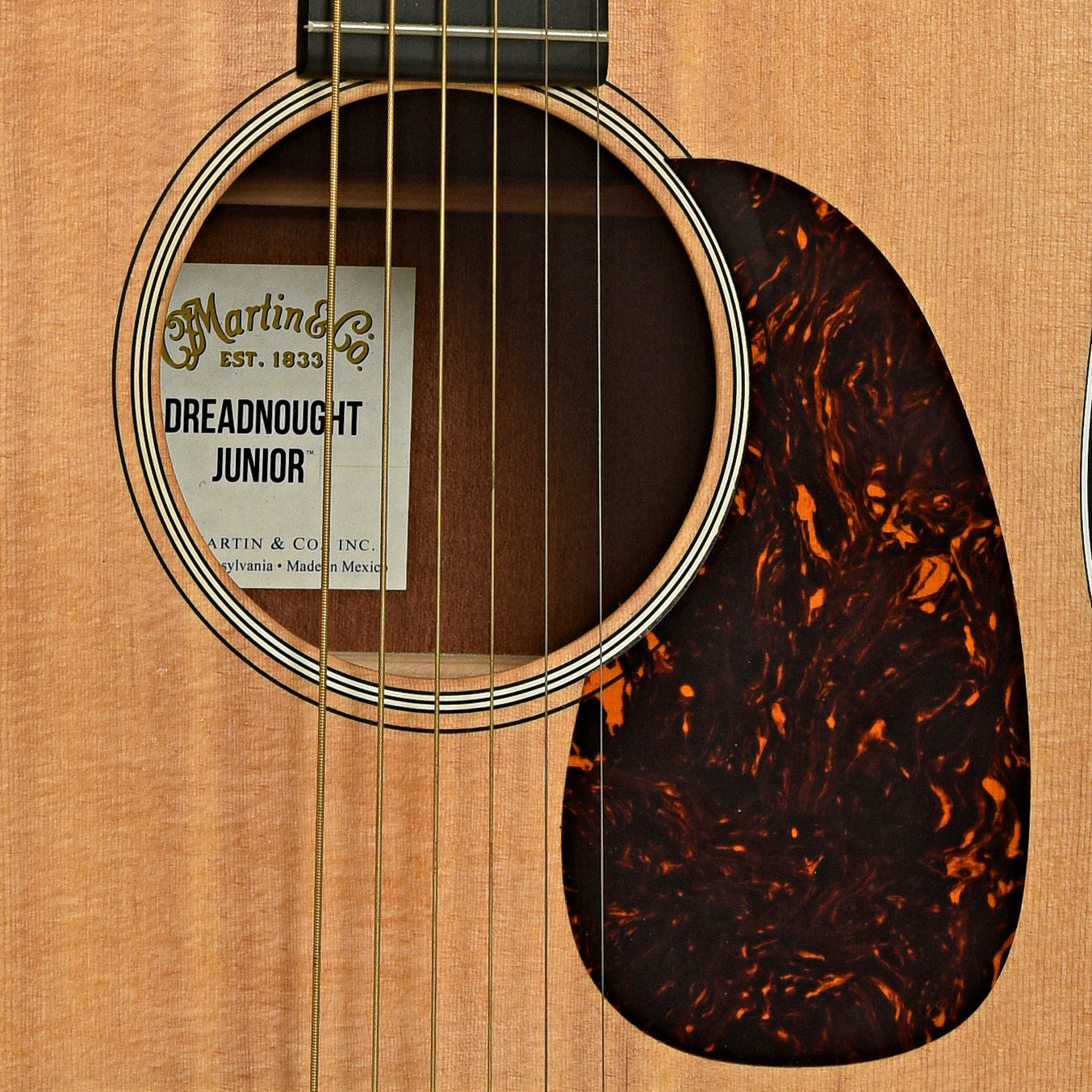 Soundhole of Martin Dreadnought Jr. Acoustic Guitar