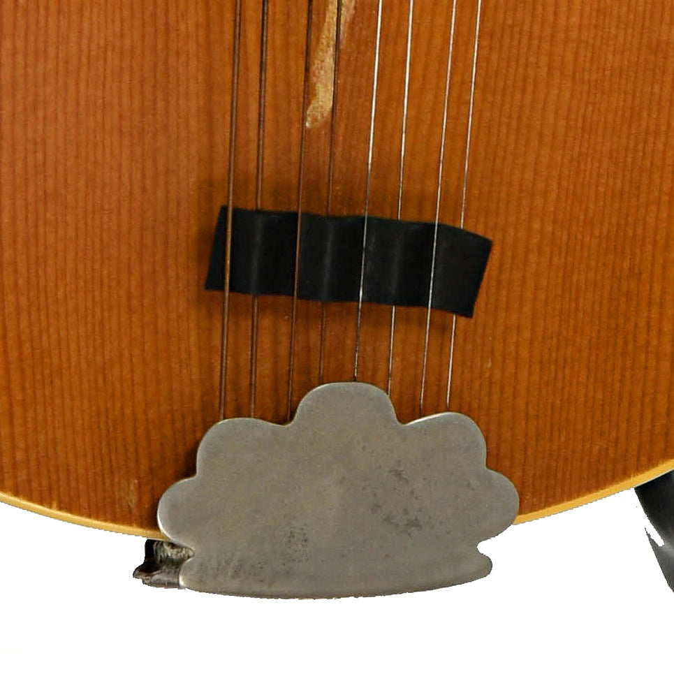Tailpiece of Gibson A-40 Mandolin