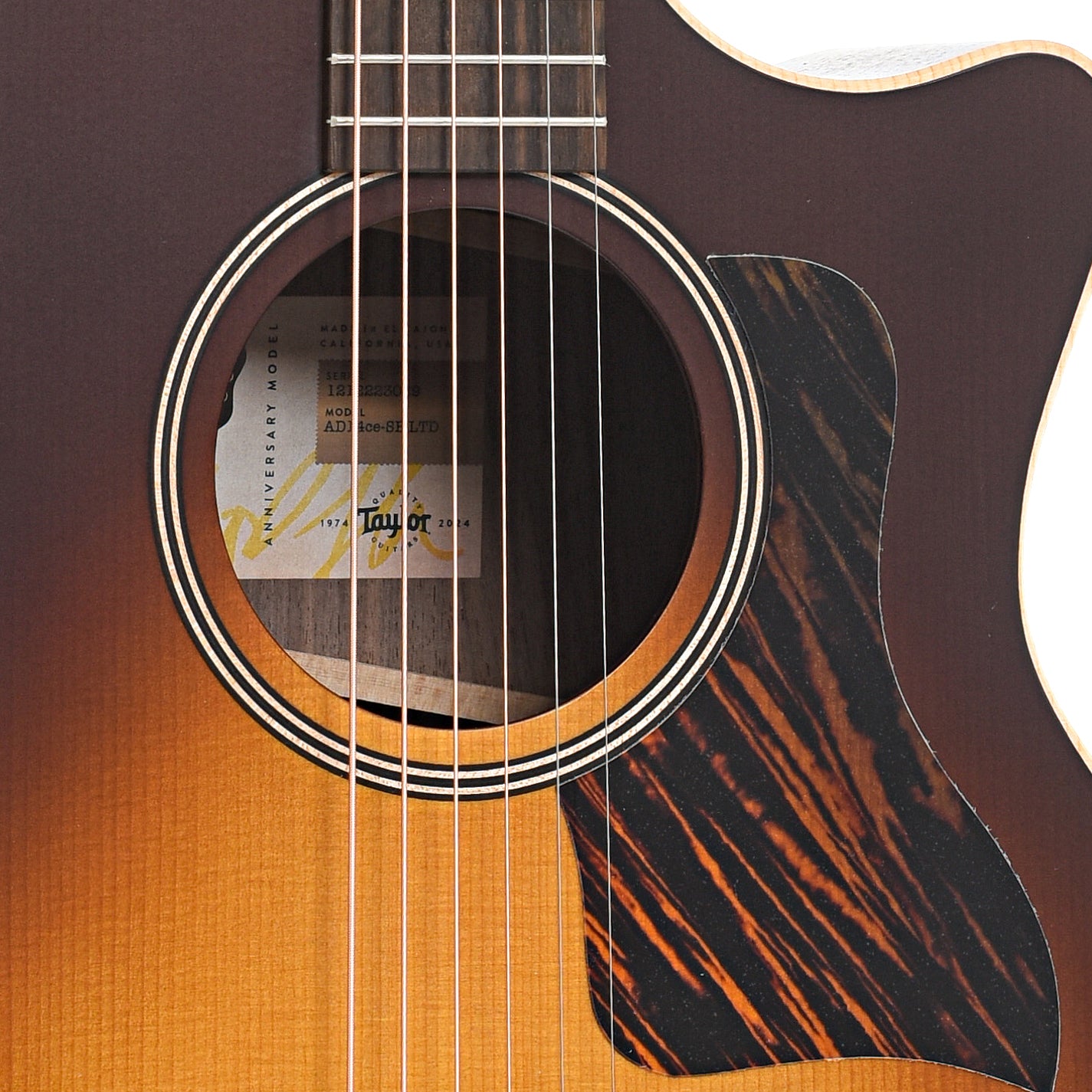 Sound hole and pickguard of Taylor 50th Anniversary AD14ce-SB LTD Acoustic 