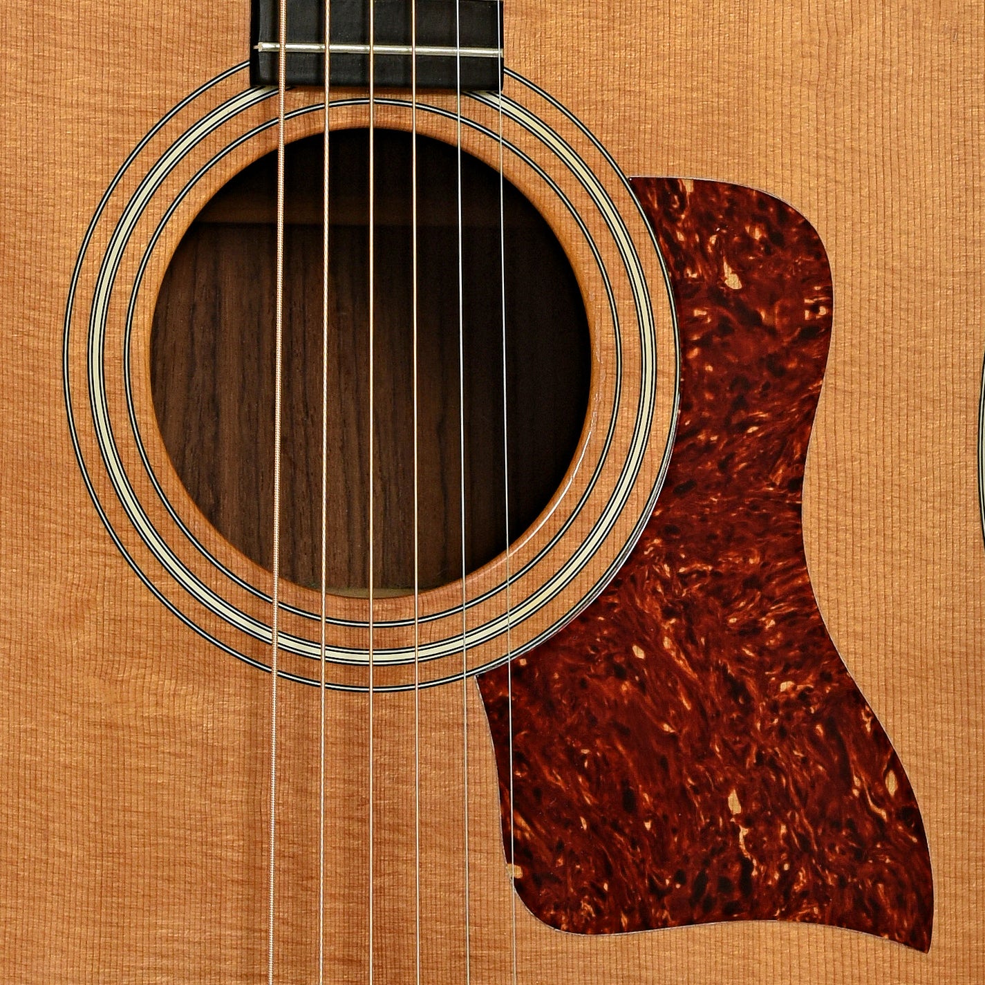 Soundhole of Taylor 420 Rosewood Acoustic Guitar