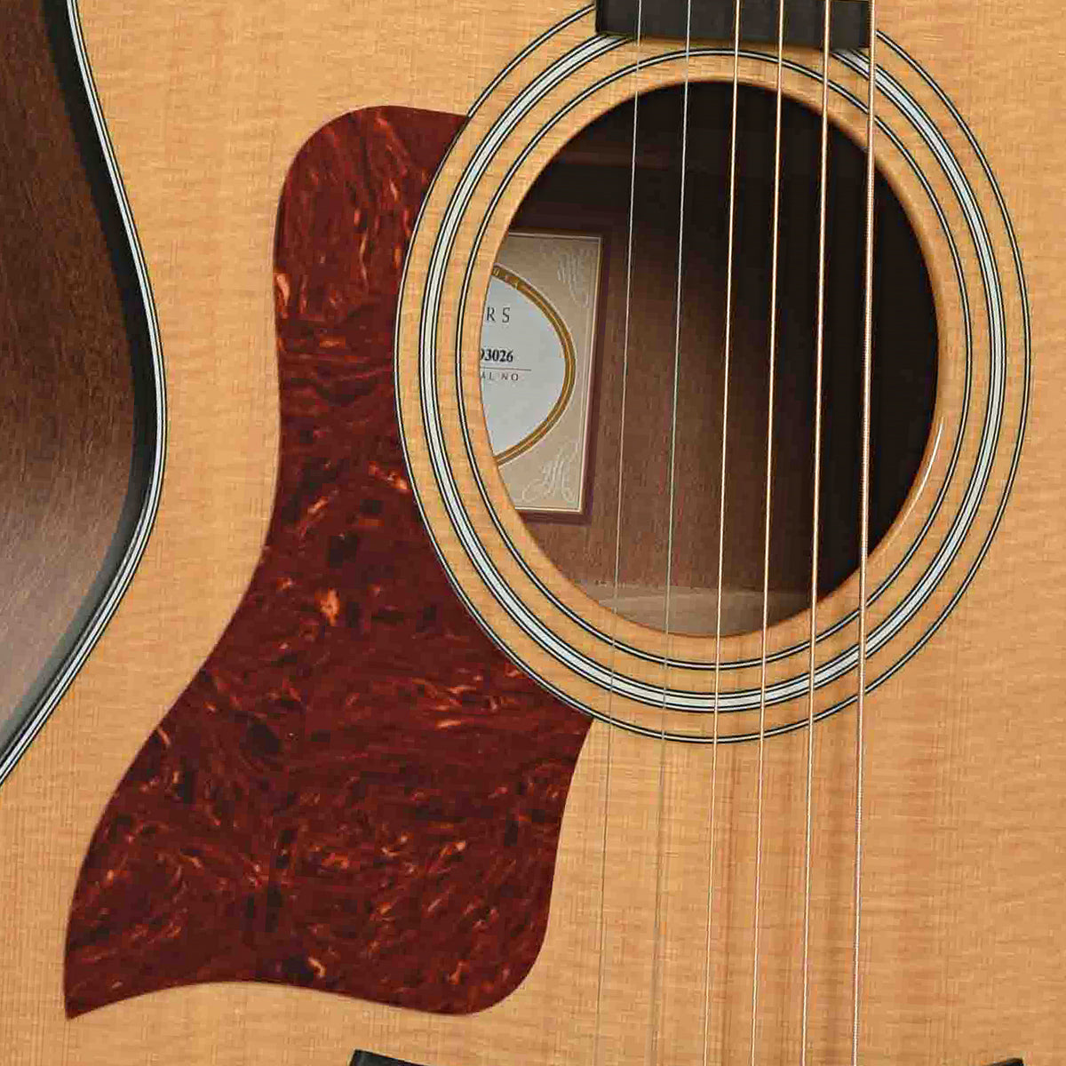Soundhole of Taylor 314CE LH Acoustic-Electric Guitar