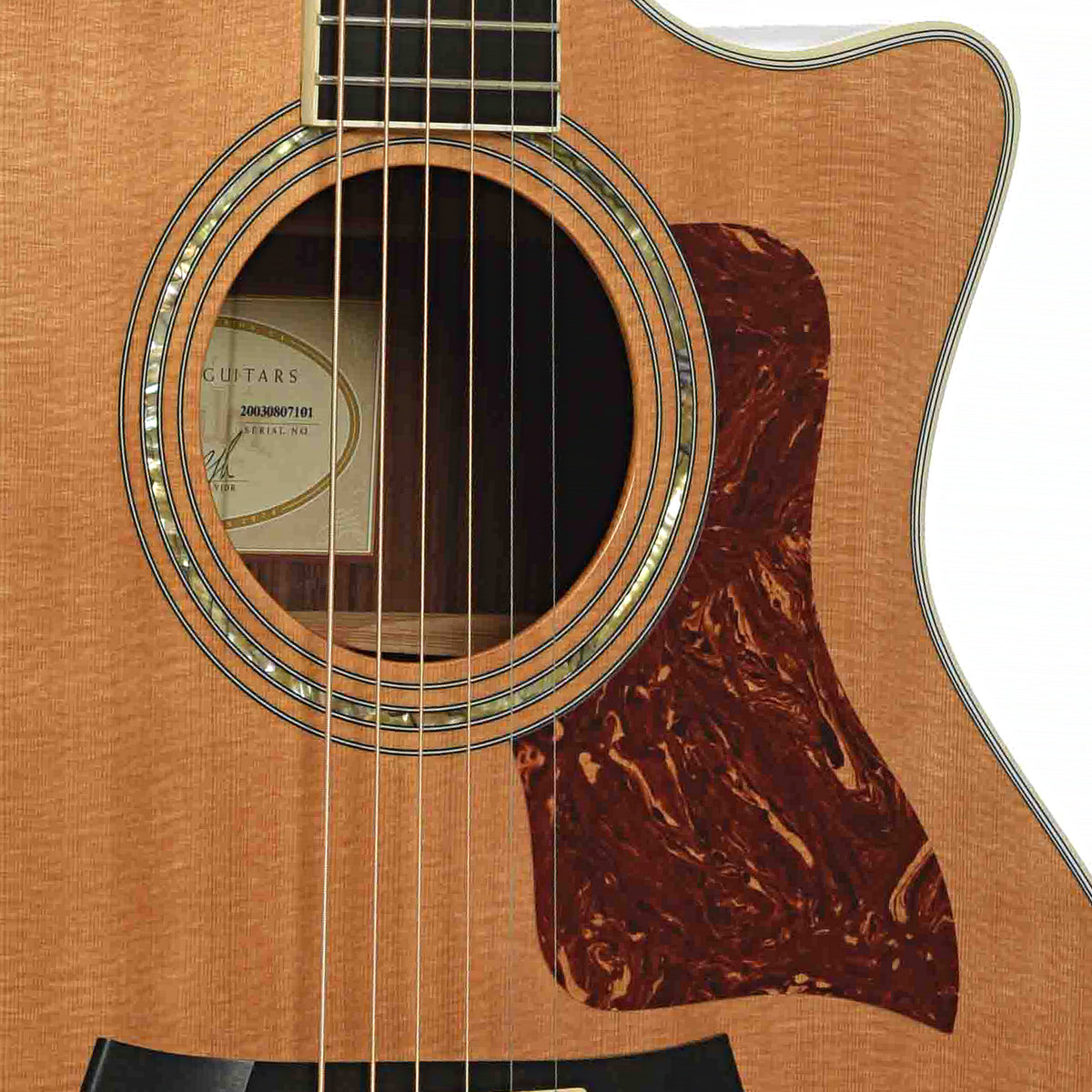 Soundhole of Taylor 814CE