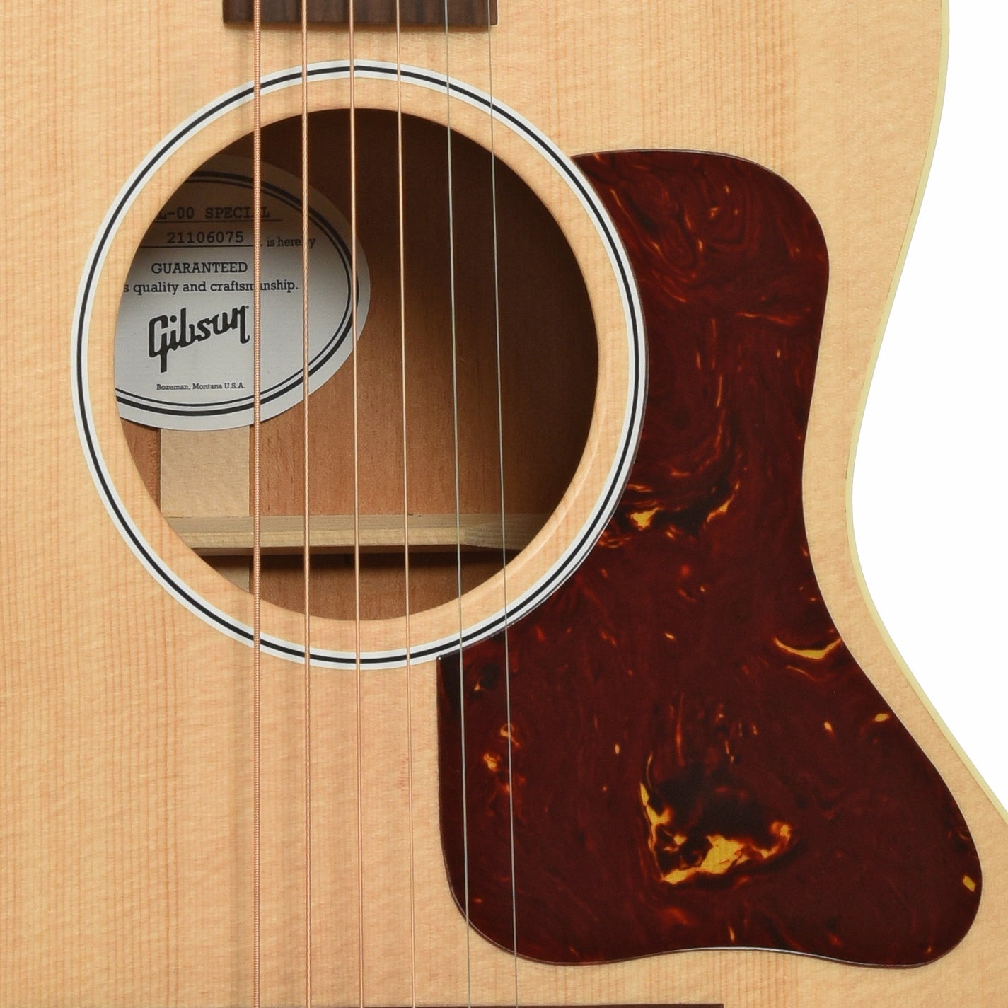 Soundhole of Gibson L-00 Special Acoustic Guitar 