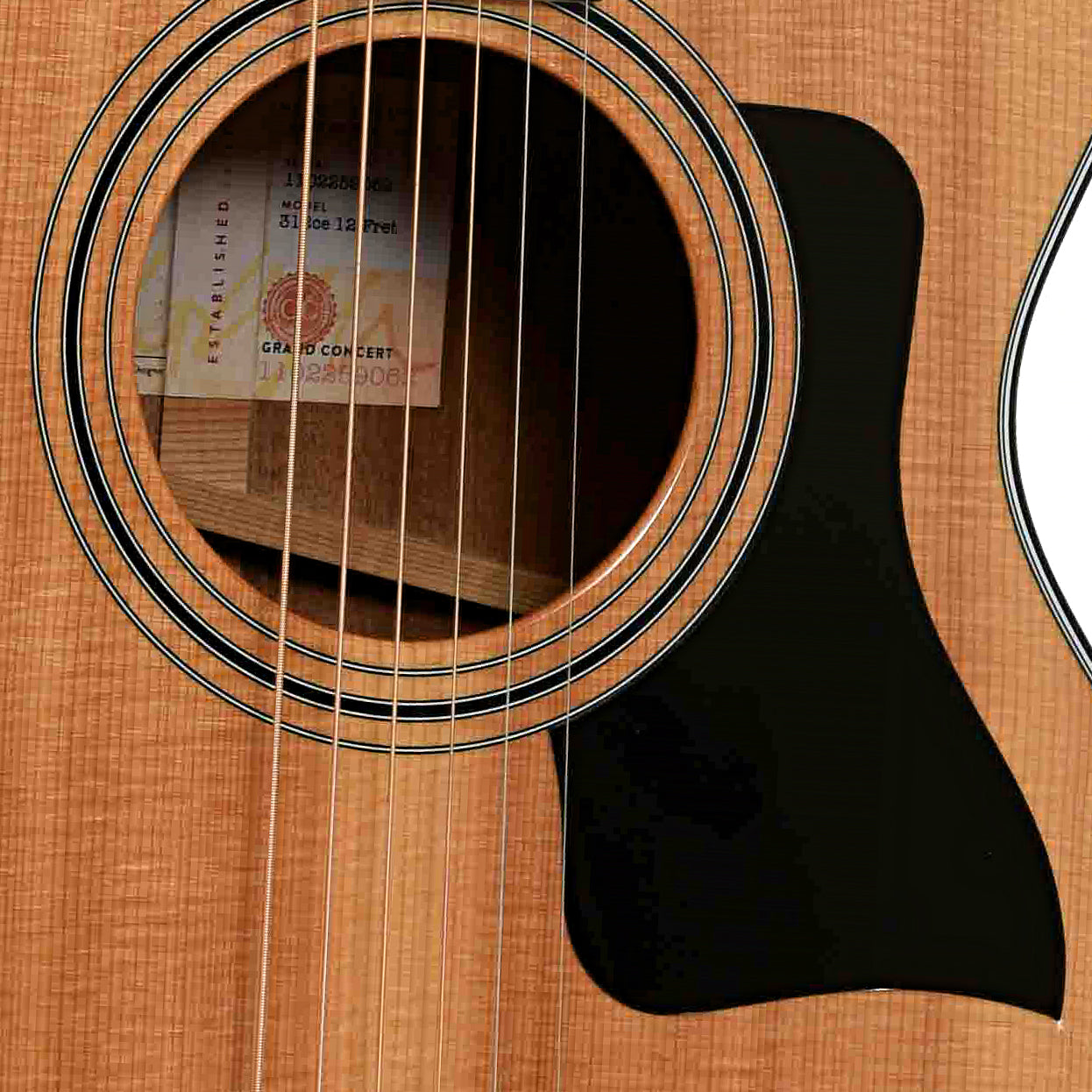 Soundhole of Taylor 312CE 12-Fret Acoustic-Electric Guitar 