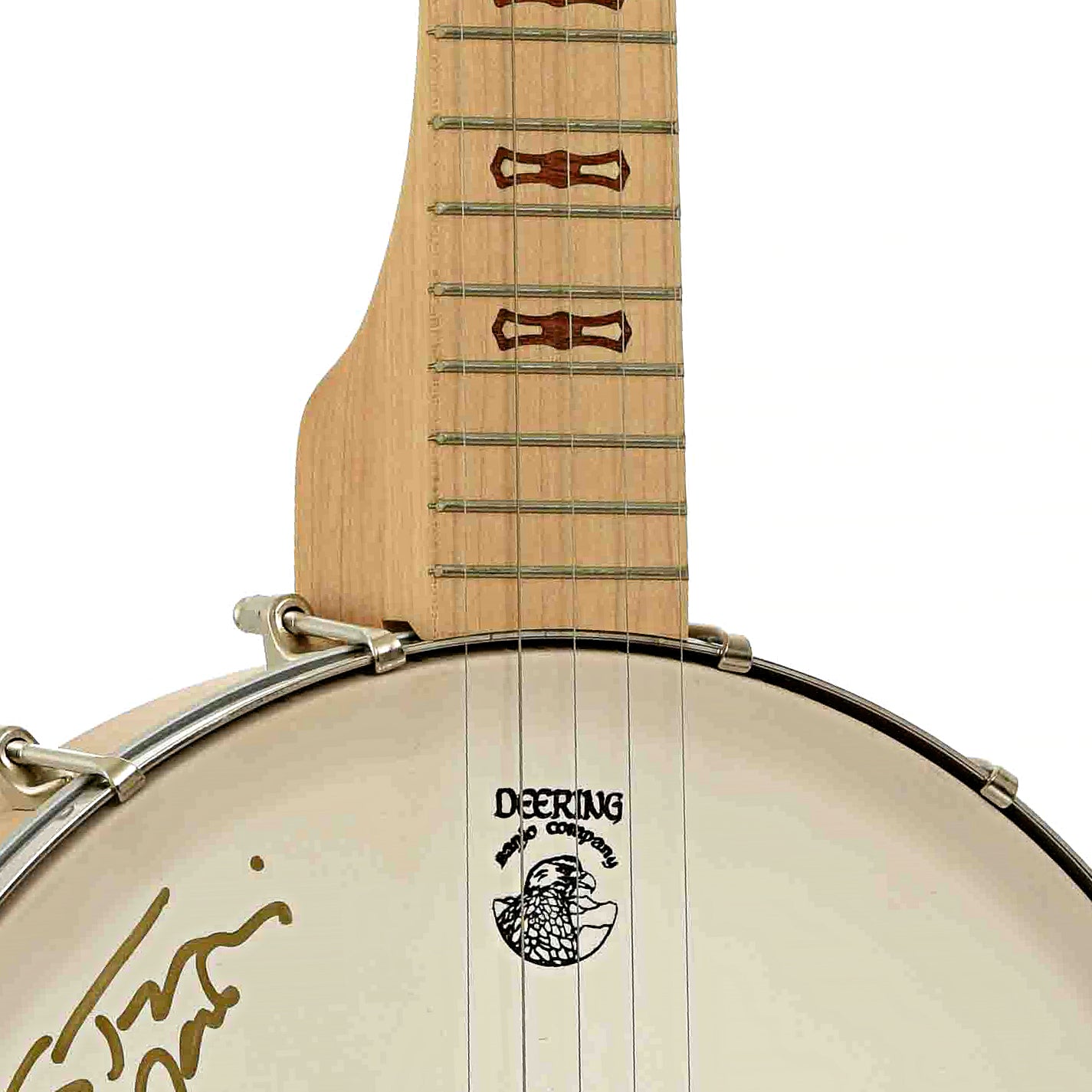 Front neck joint of Deering "The Crow" Open Back Banjo