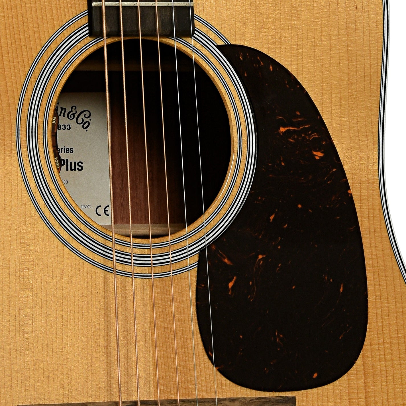 Soundhole of Martin DE Retro Plus Granadillo Guitar