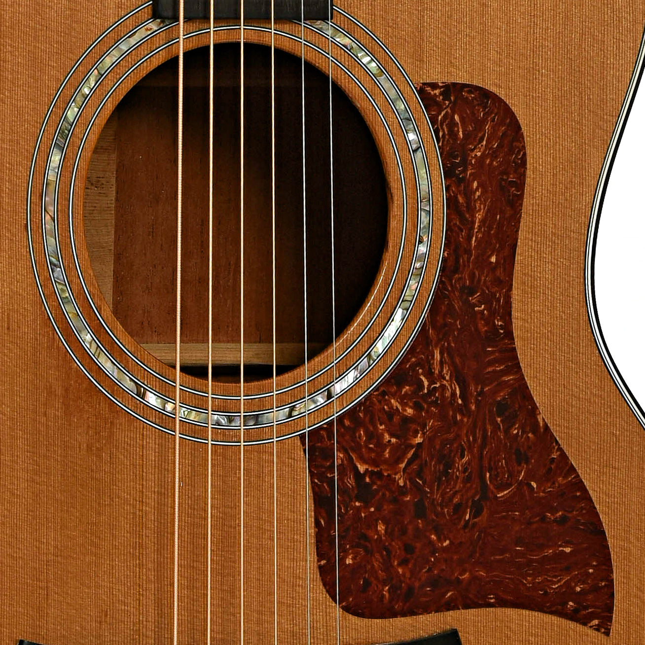 Soundhole of Taylor 514-C Acoustic Guitar