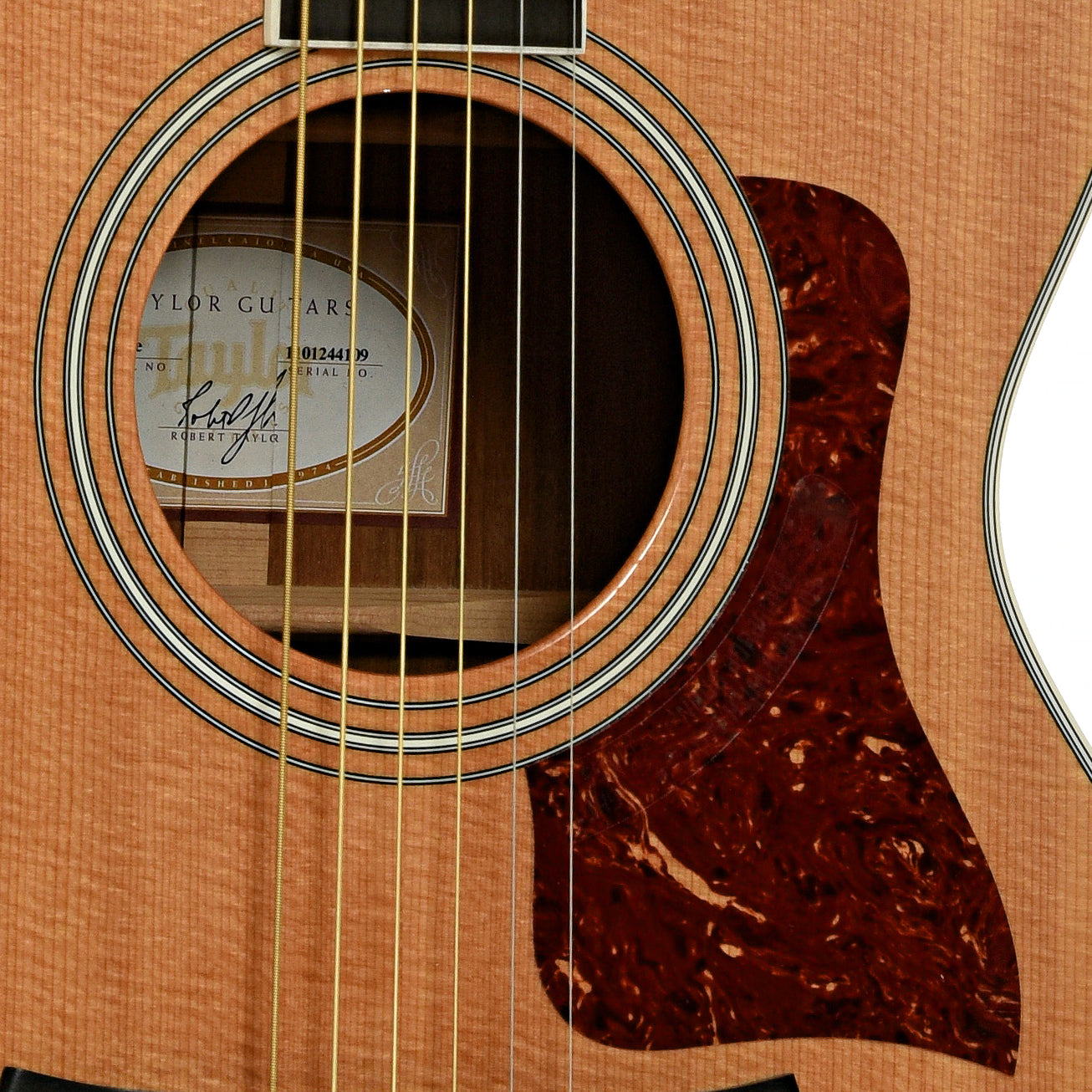 Soundhole of Taylor 412ce Acoustic-Electric Guitar 