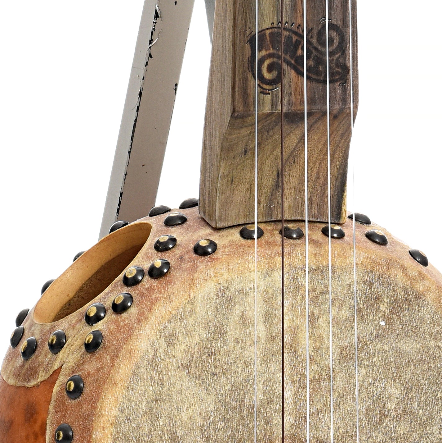 Front body and neck join of Menzies Fretless Gourd Banjo #577