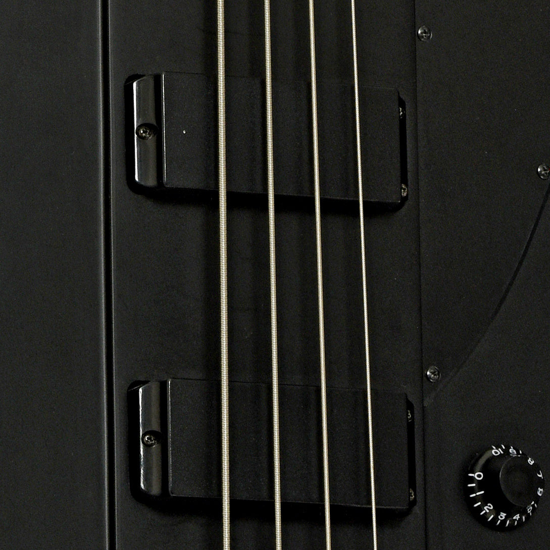 Epiphone Thunderbird IV Goth Electric Bass (2014) – Elderly