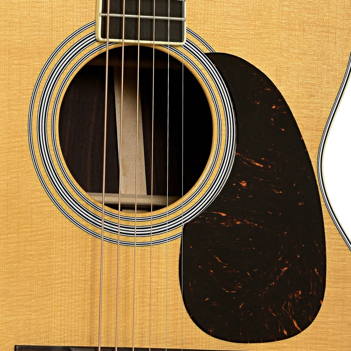 Soundhole of Martin M-36 ReImagined Acoustic Guitar