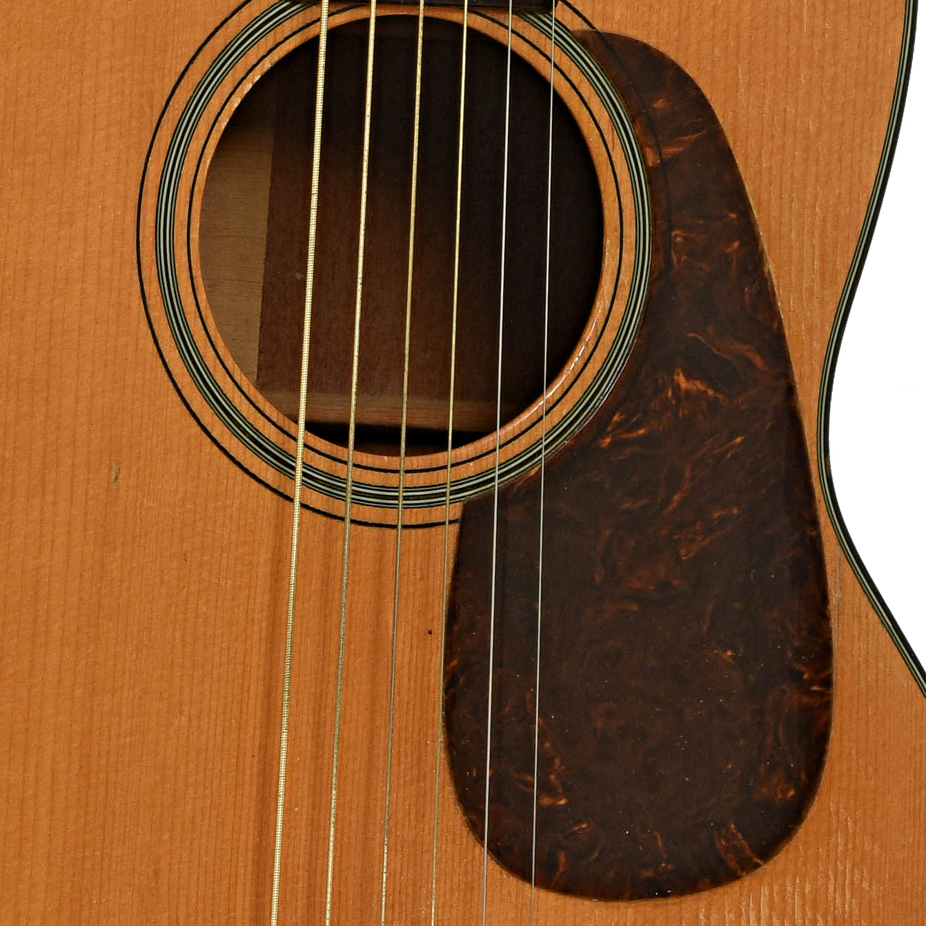 Soundhole of Martin 5-18 Acoustic Guitar 