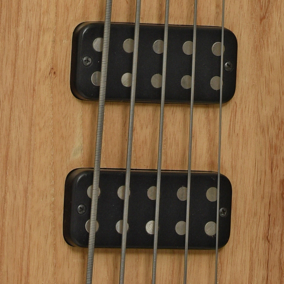 Pickups of Gibson EB-5 Electric Bass 