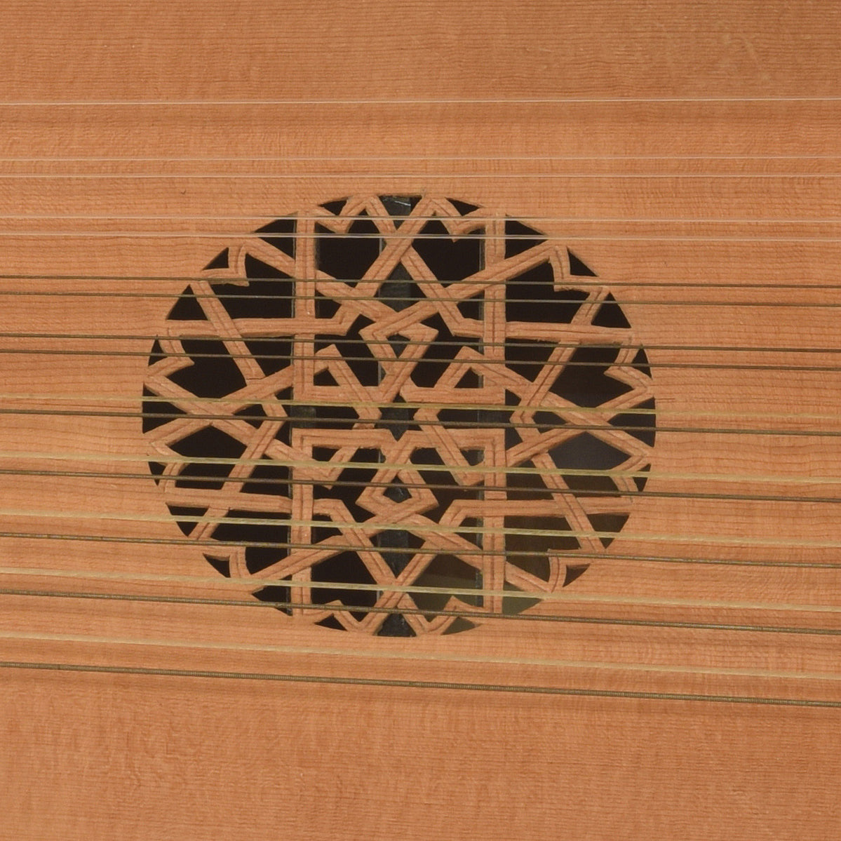 Soundhole of James P. North 20-String Lute 