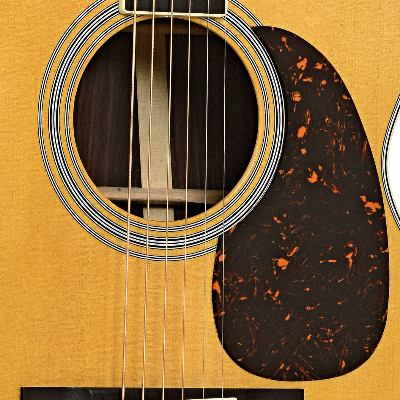 Soundhole of Martin M-36 Acoustic Guitar