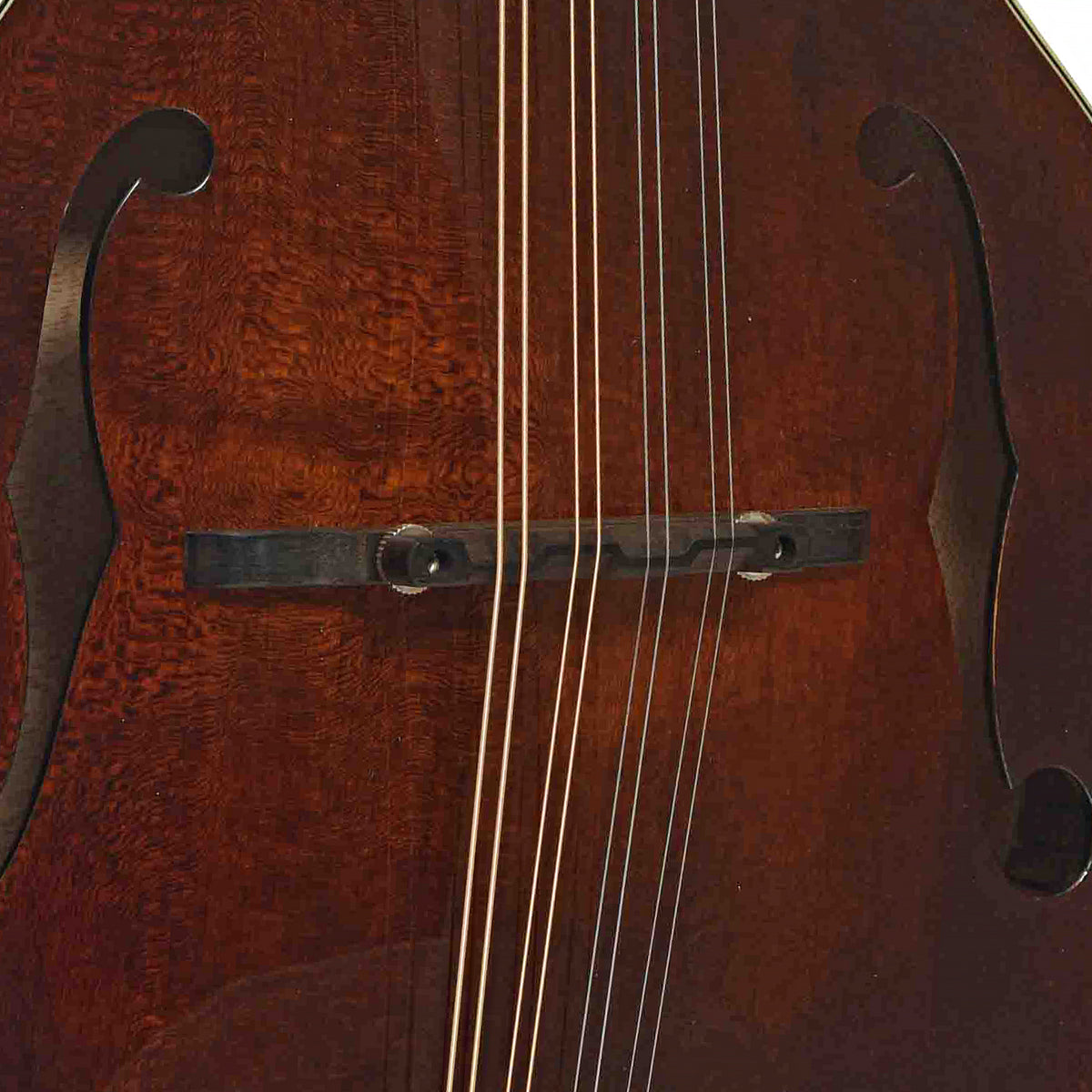 Bridge of Eastman MD-515