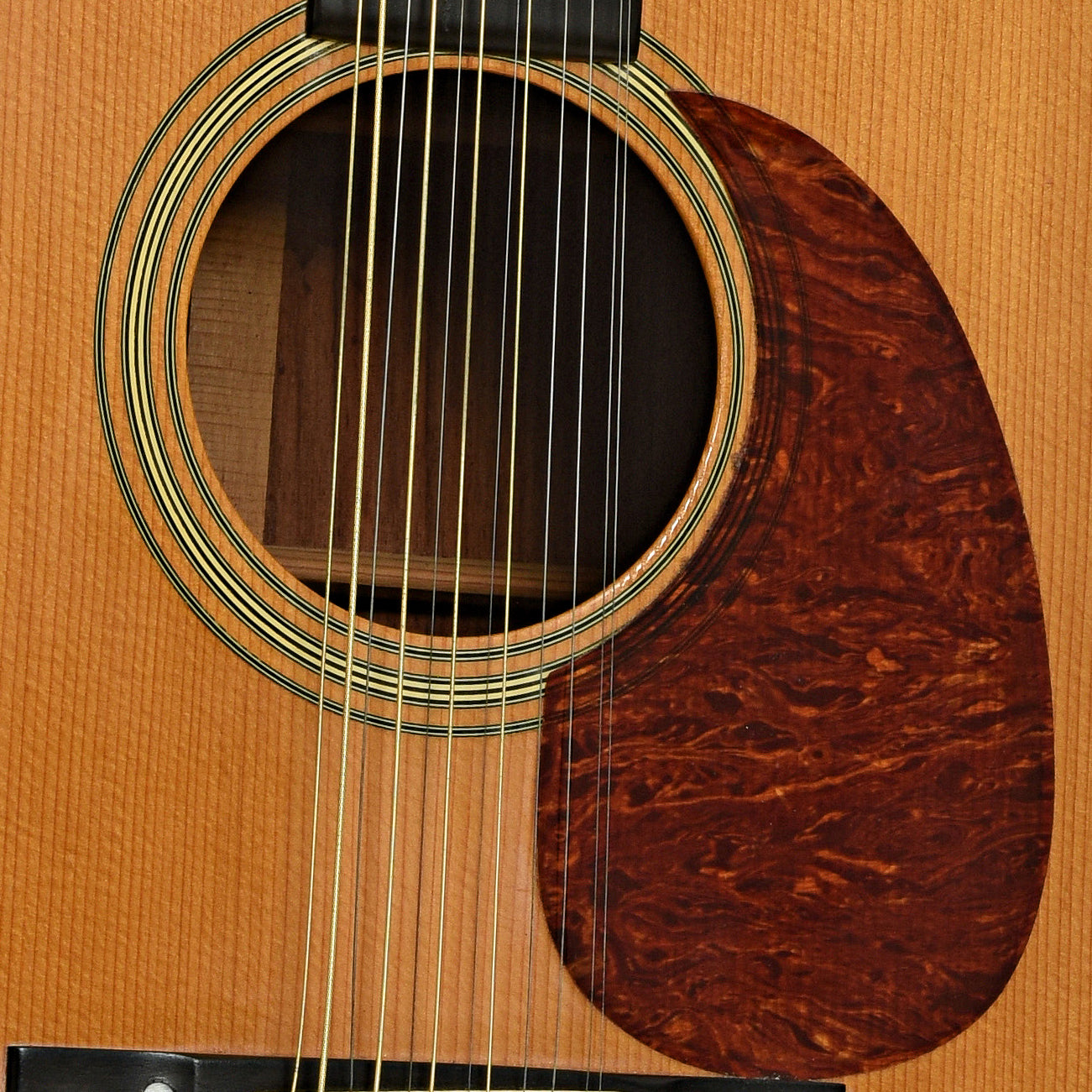 Soundhole of Martin D-12-28 12-String Acoustic Guitar