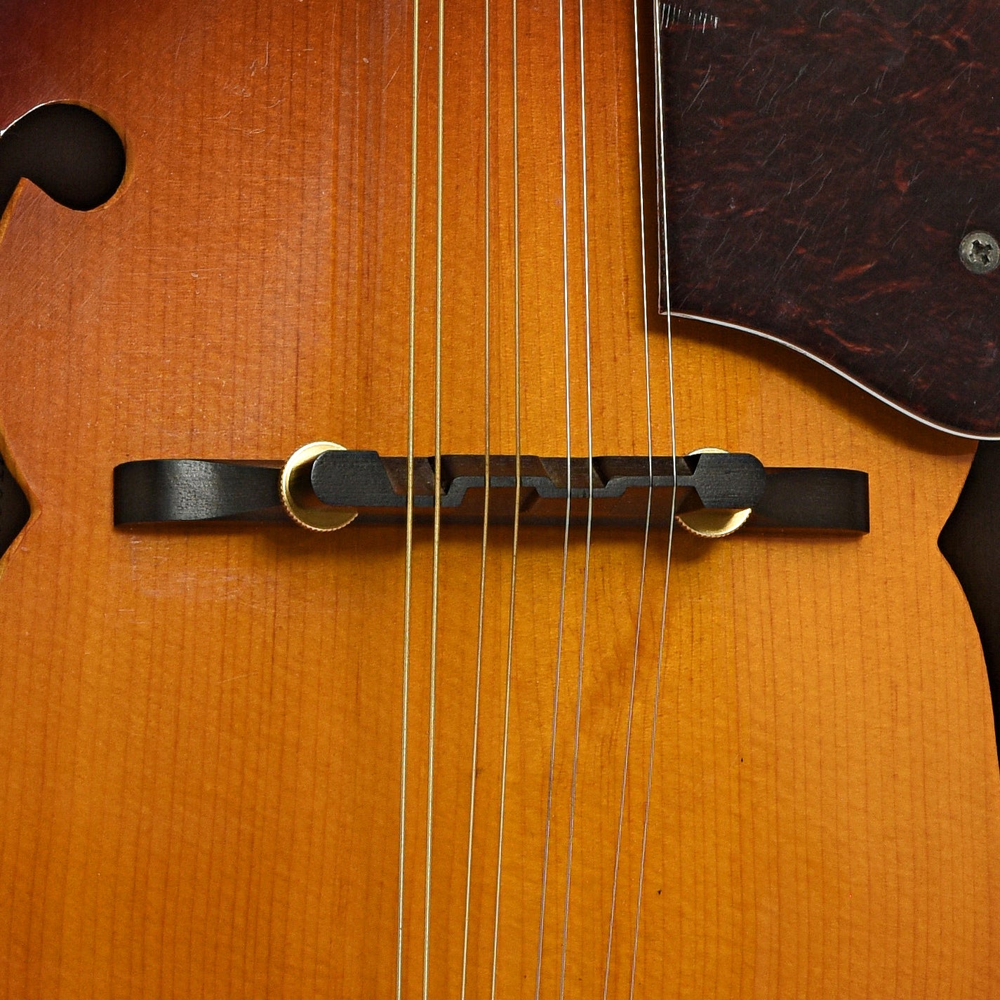 Bridge of Fender FM-53S A-Style Mandolin