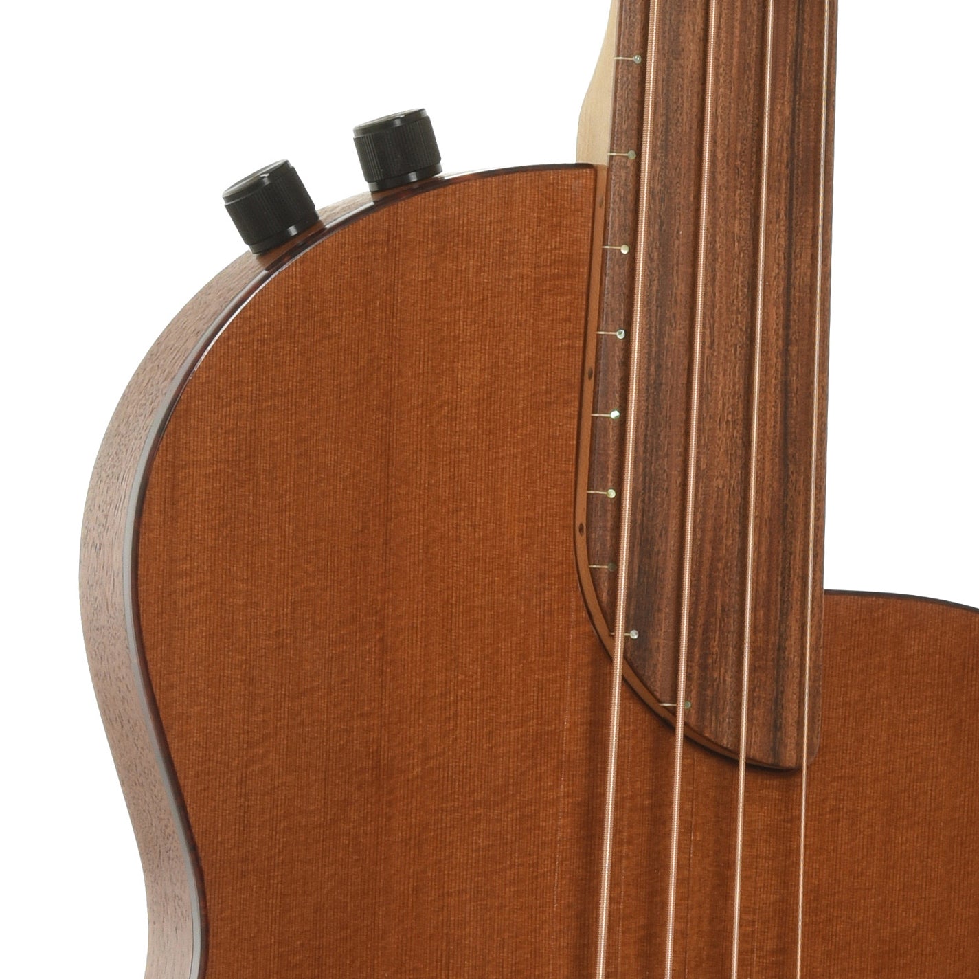 Controls of Rick Turner RB-4-FC Acoustic-Electric Bass