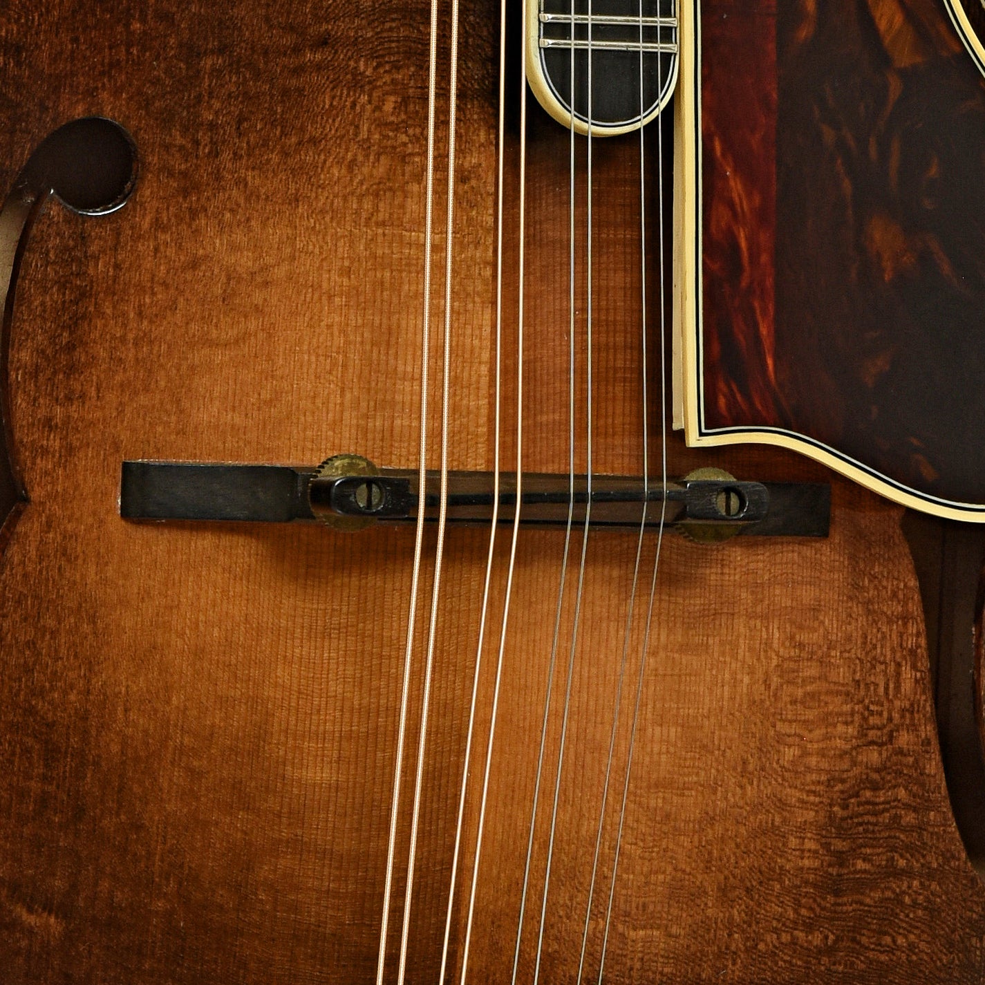 Bridge of Newson F-5 Fern Mandolin 