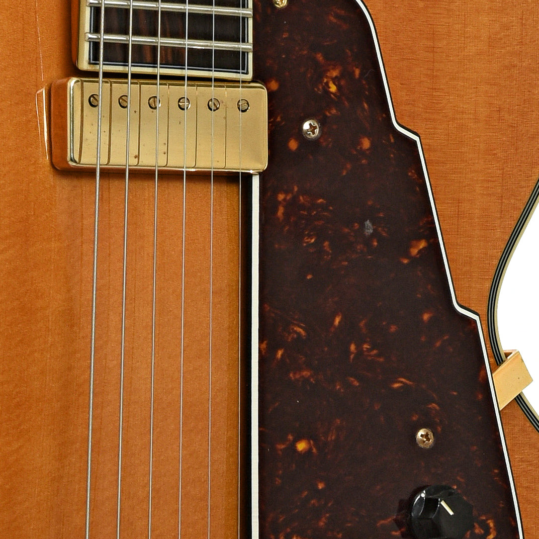 Pickup of D'Angelico EXL-1 Archtop Hollowbody Electric Guitar